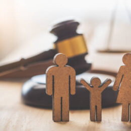 Walking a constitutional tightrope: Free speech and family matters – Malone v. Rose 